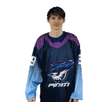 Nhl Sticker by Piráti Chomutov