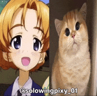 Girls Und Panzer Gup GIF