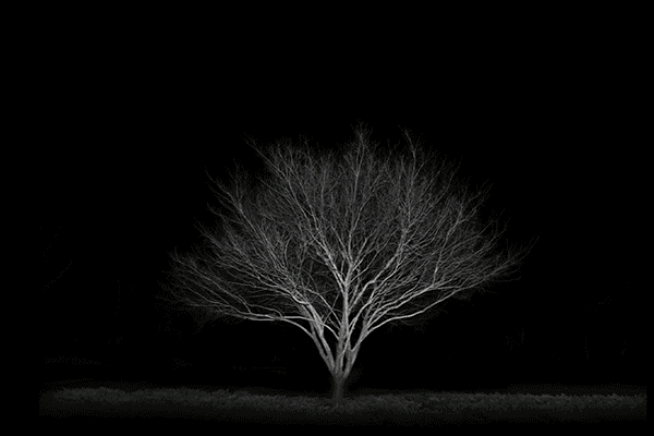 cabezaenlaluna giphyupload mexico videoart a salomon GIF