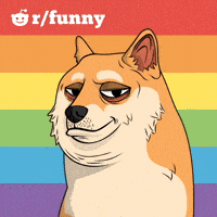 Shiba Inu Lol GIF by Doge Pound