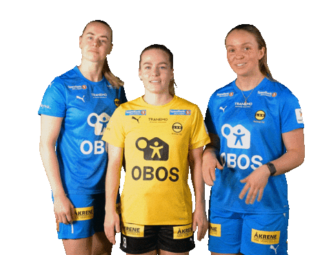 Toppserien Forza Birdsa Sticker by LSK Kvinner FK