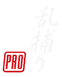 Kanji Sticker by Randori-Pro