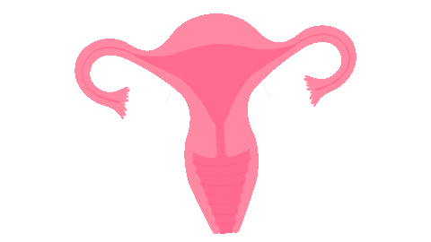 realcup giphyupload copa libre sustentable Sticker