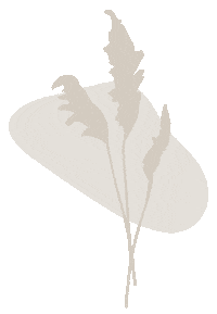 Pampas Grass Flower Sticker by kippkoppdesign
