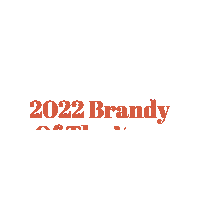 USASpiritsRatings brandy usa spirits ratings usa ratings best brandy Sticker
