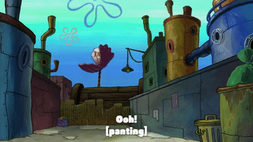 season 9 lost in bikini bottom GIF by SpongeBob SquarePants