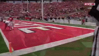 touchdown buckeyes michigan football ohio state nfl season GIF