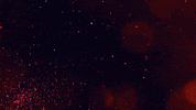 Mr Right Flirt GIF by Elise LeGrow