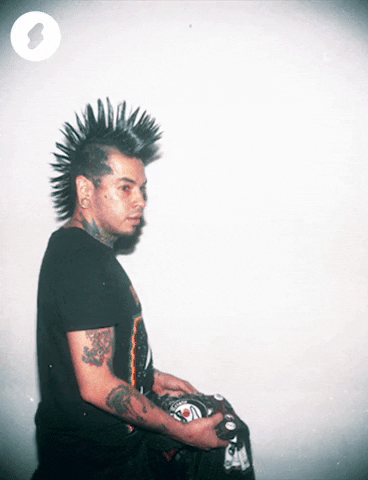 ShockCo fun party rock photography GIF