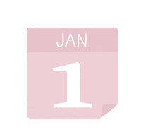 Happy New Year Plan Sticker