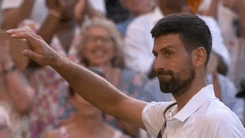 Novak Djokovic GIF by Wimbledon
