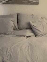Sleepy Wake Up GIF