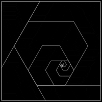 black and white loop GIF by xponentialdesign