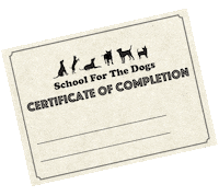 schoolforthedogs sftd schoolforthedogs Sticker