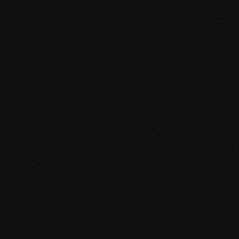 morganeweissenbacher giphyupload GIF