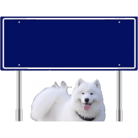 Utrecht Benji Sticker