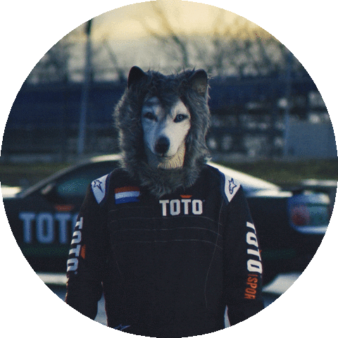 Formula 1 Sport Sticker by Toto