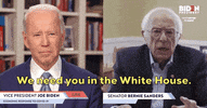Joe Biden GIF by Election 2020