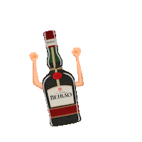 Portugal Fixe Sticker by Licor Beirão