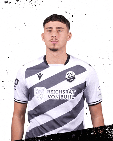 3Liga Wirechtanders GIF by SV Sandhausen