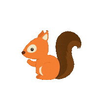 Ardilla Sticker by Naturpellet