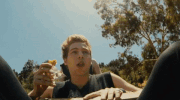 amnesia GIF by 5 Seconds of Summer