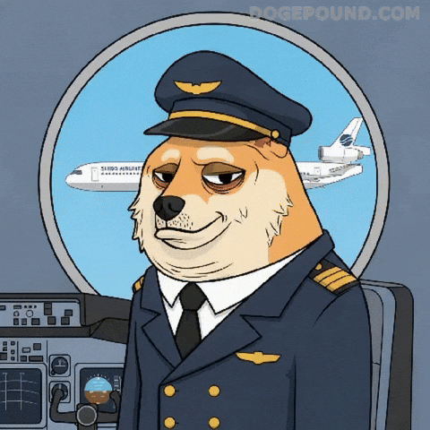 Shiba Inu Deal With It GIF by Doge Pound