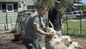 viceland GIF by TWIZ & TUCK