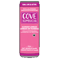 Canada Lemon Sticker by Cove Kombucha