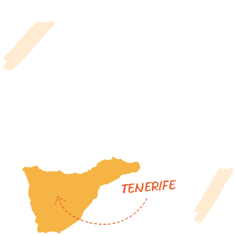 candocompany giphyupload frame island tenerife Sticker