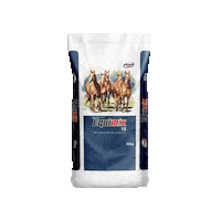 Racao Cavalos Sticker by integralmix