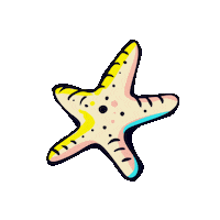Festival Fest Sticker by whatafest