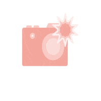 Camera Ramona Sticker by Heygo