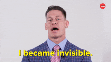 I Became Invisible