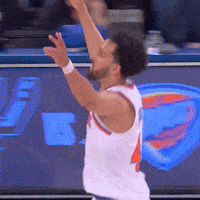 Lets Go Knicks GIF