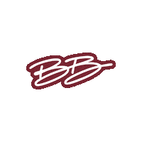 Lightning In A Bottle Festival Sticker by JBL Audio