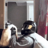 Cat Kid GIF