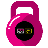 Weight Gewicht Sticker by BigGym