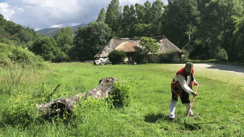 atiliodoreste giphyupload GIF