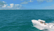 Front Runner Miami GIF by GEMLUX