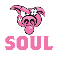 Crossfit Team Soul Sticker by crossfitsoulmiami