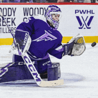 Womens Hockey GIF by This is Women's Baseball