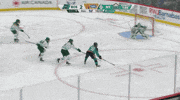 Goalie Frankel GIF