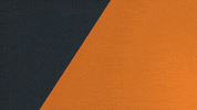 aimee schmidt GIF by GIANTS