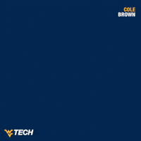 Baseball Cole Brown GIF by WVU Tech Golden Bears