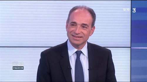 mimique GIF by franceinfo