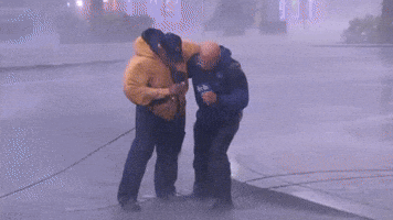 Is This Your Idea of Fun?