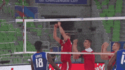 Jump Hit GIF by Volleyball World