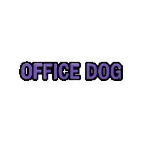New West Office Dog Sticker by New West Records