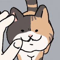 Cat Help GIF
